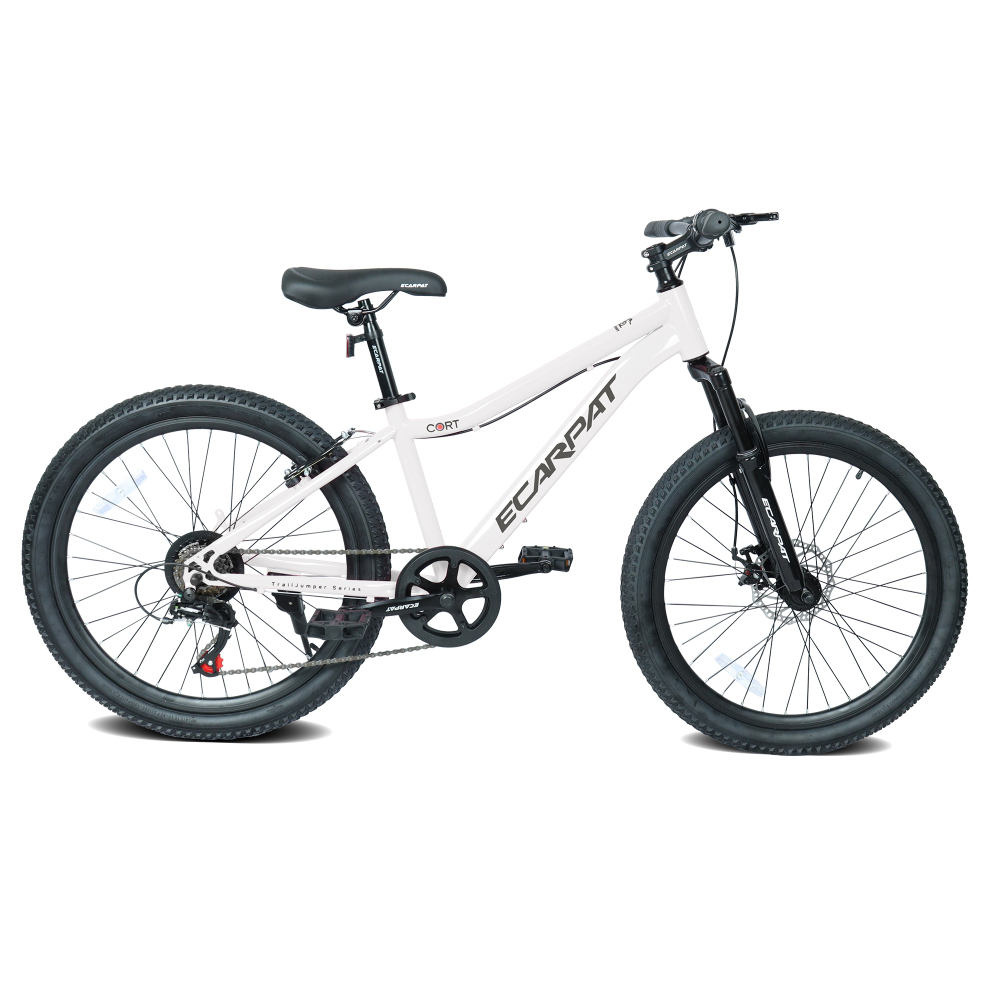 24인치 유소년용 산악자전거, 7단 변속 및 전륜 서스 - Mountain Biking Youth 리뷰 및 가격